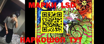 сатива Новодвинск