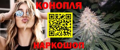 сатива Новодвинск