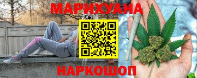 сатива Новодвинск