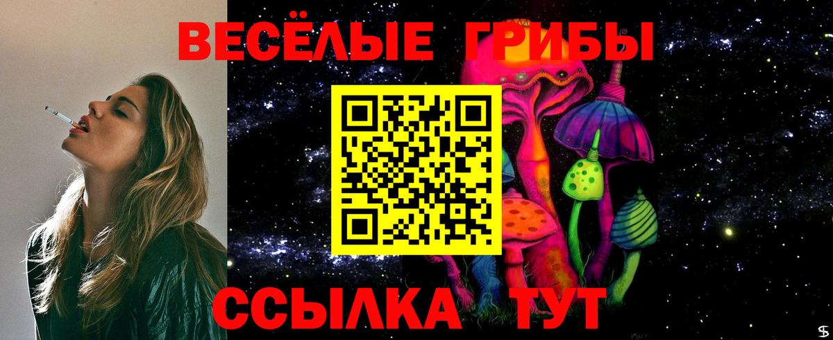 что такое наркотик  Вход с VPN  Псилоцибиновые грибы MAGIC MUSHROOMS  Тавда  Псилоцибиновые грибы MAGIC MUSHROOMS 